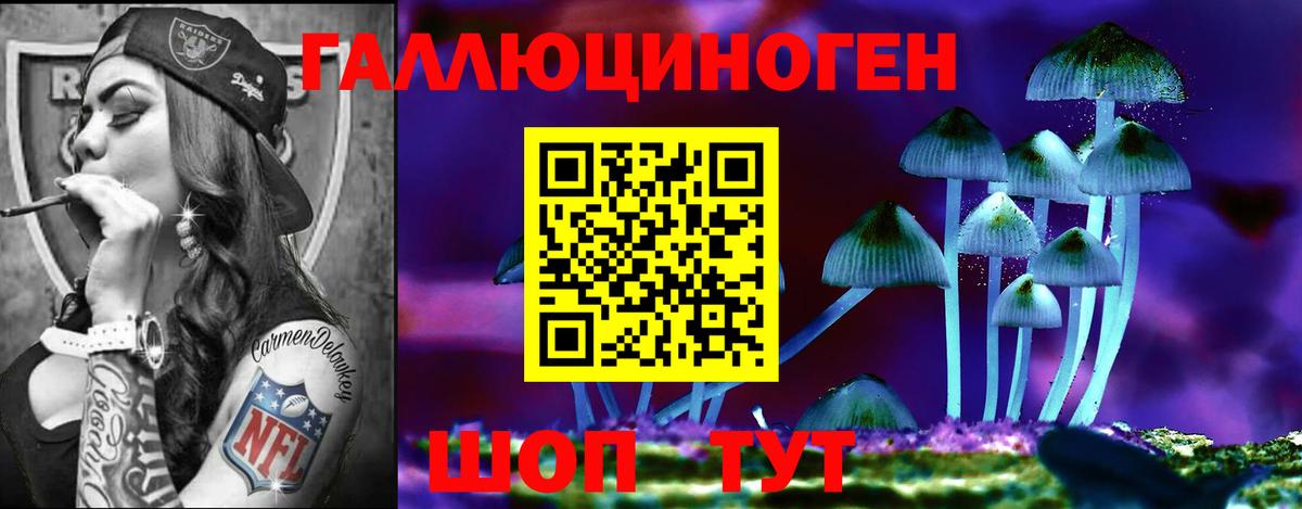 Псилоцибиновые грибы GOLDEN TEACHER Карабулак